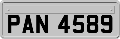 PAN4589