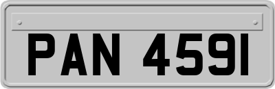 PAN4591
