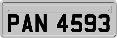 PAN4593