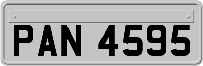 PAN4595