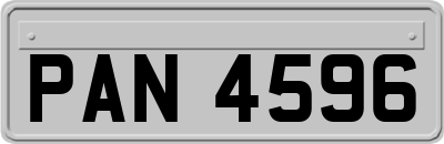 PAN4596