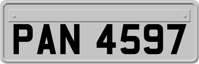 PAN4597