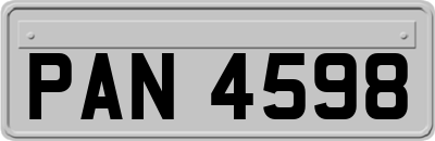 PAN4598