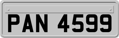 PAN4599