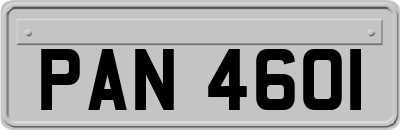 PAN4601