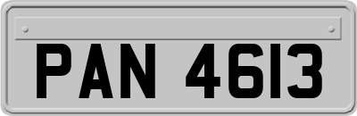 PAN4613