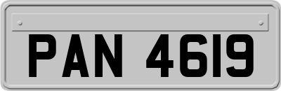 PAN4619