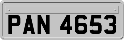 PAN4653