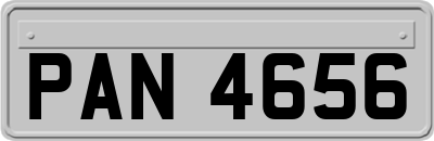 PAN4656