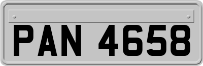 PAN4658