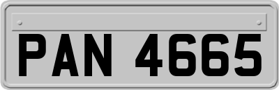 PAN4665