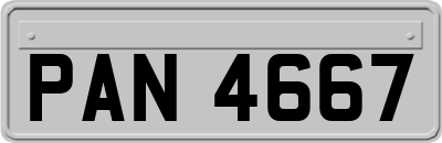 PAN4667
