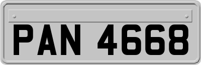 PAN4668