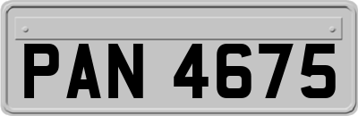 PAN4675