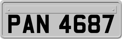 PAN4687