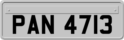 PAN4713