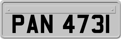 PAN4731