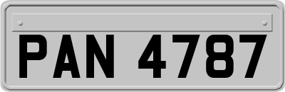 PAN4787
