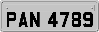 PAN4789