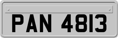 PAN4813