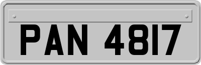 PAN4817
