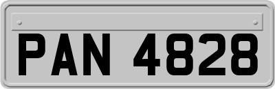 PAN4828