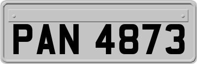 PAN4873