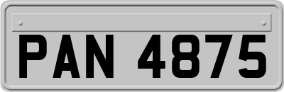 PAN4875