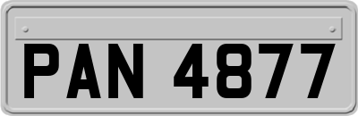 PAN4877