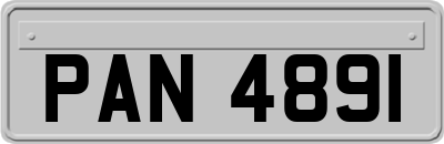 PAN4891