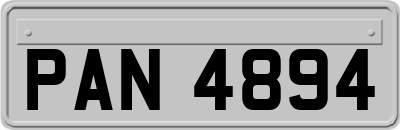 PAN4894