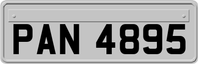 PAN4895