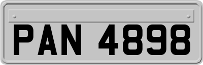 PAN4898