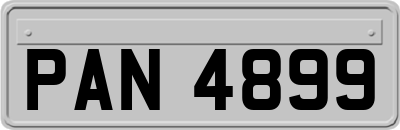 PAN4899