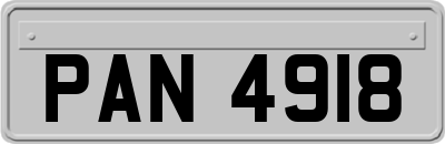 PAN4918