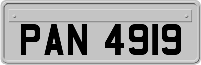 PAN4919