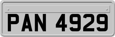 PAN4929