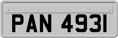 PAN4931