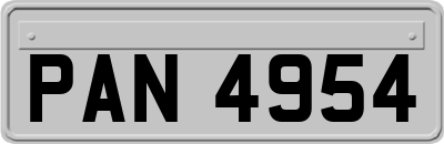 PAN4954