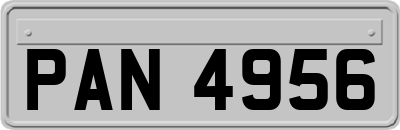 PAN4956