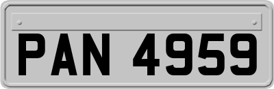 PAN4959