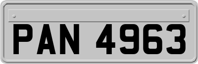 PAN4963