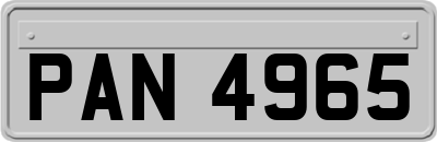 PAN4965