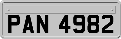 PAN4982
