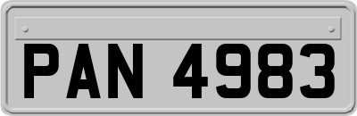 PAN4983