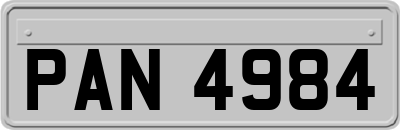 PAN4984
