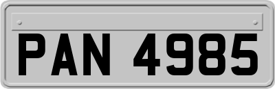 PAN4985