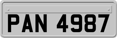 PAN4987
