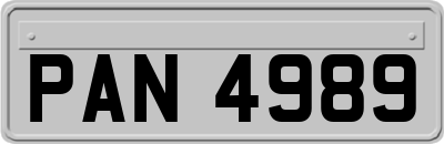 PAN4989