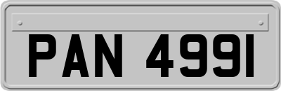 PAN4991